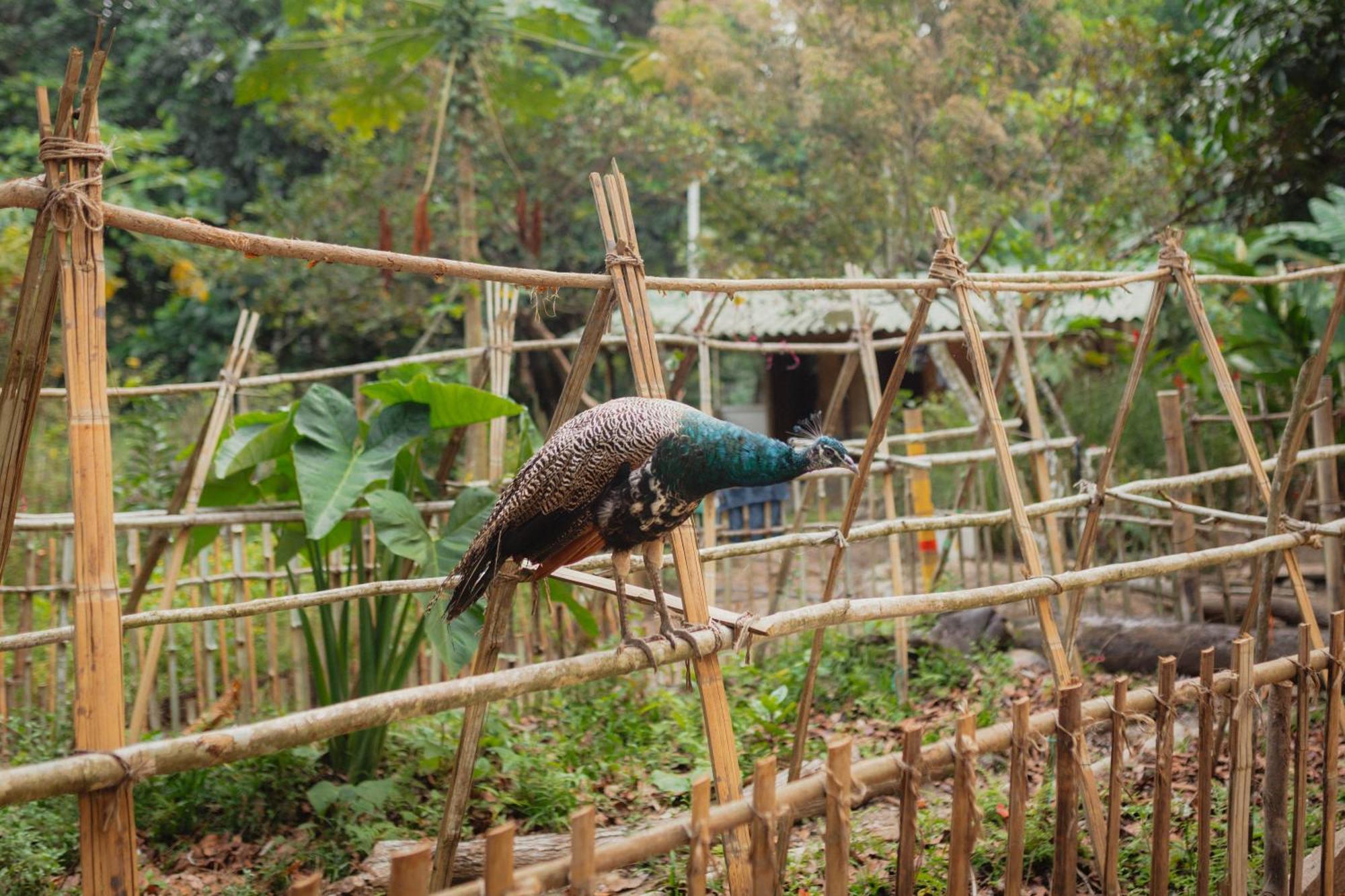 La Ponderosa Reserve Buritaca Exteriör bild